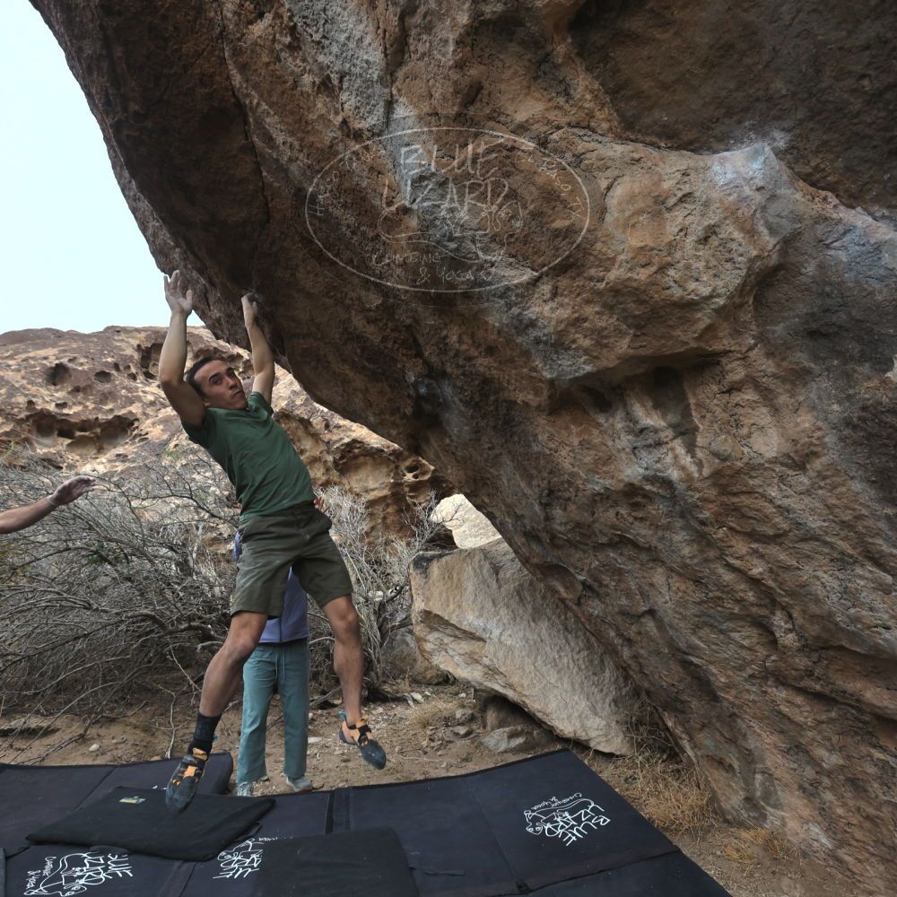 

Filename: SRM_20260207_1149360.jpg
Aperture: f/5.6
Shutter Speed: 1/800
Body: Canon EOS R6
Lens: Canon EF 16-35mm f/2.8 L