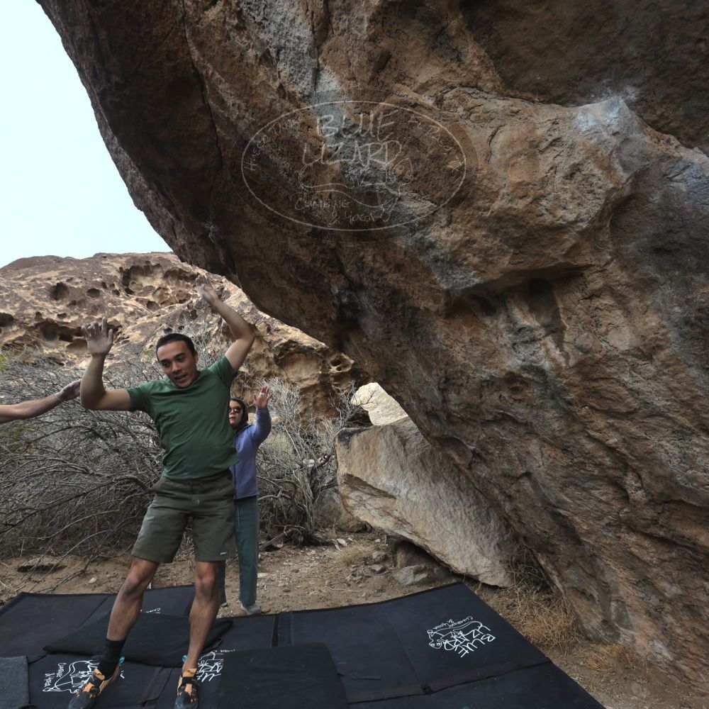 

Filename: SRM_20260207_1149370.jpg
Aperture: f/5.6
Shutter Speed: 1/800
Body: Canon EOS R6
Lens: Canon EF 16-35mm f/2.8 L