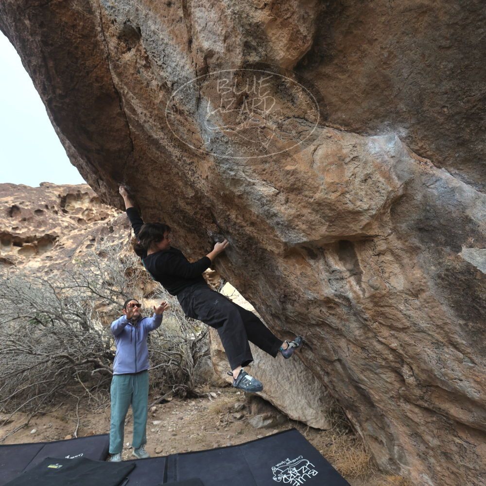 

Filename: SRM_20260207_1150410.jpg
Aperture: f/5.6
Shutter Speed: 1/800
Body: Canon EOS R6
Lens: Canon EF 16-35mm f/2.8 L