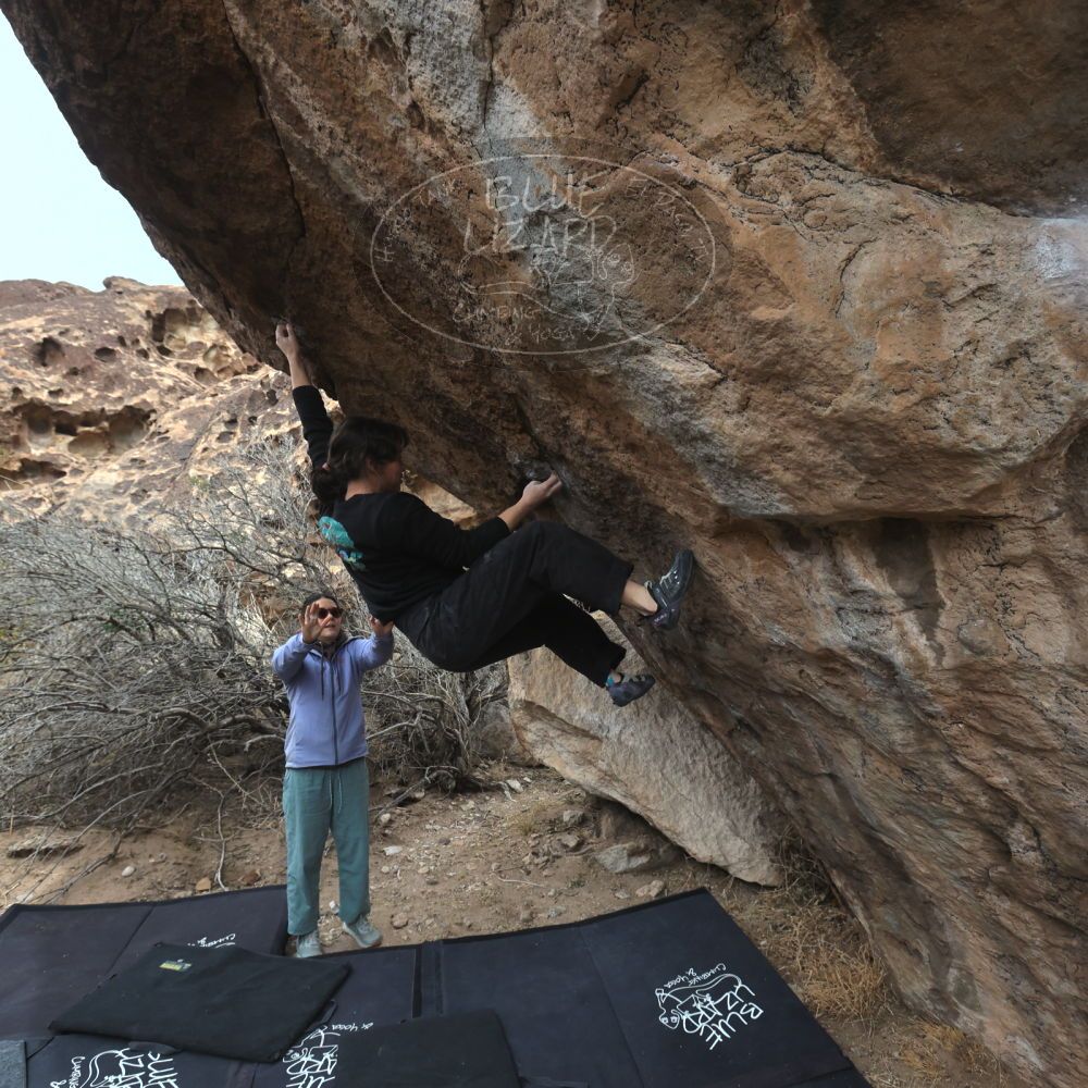 

Filename: SRM_20260207_1150430.jpg
Aperture: f/5.6
Shutter Speed: 1/800
Body: Canon EOS R6
Lens: Canon EF 16-35mm f/2.8 L