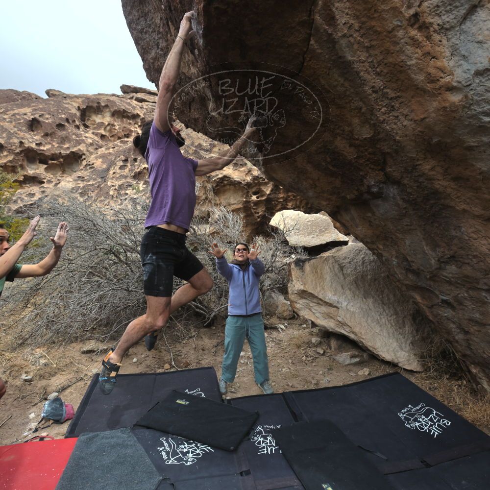 

Filename: SRM_20260207_1154363.jpg
Aperture: f/5.6
Shutter Speed: 1/800
Body: Canon EOS R6
Lens: Canon EF 16-35mm f/2.8 L