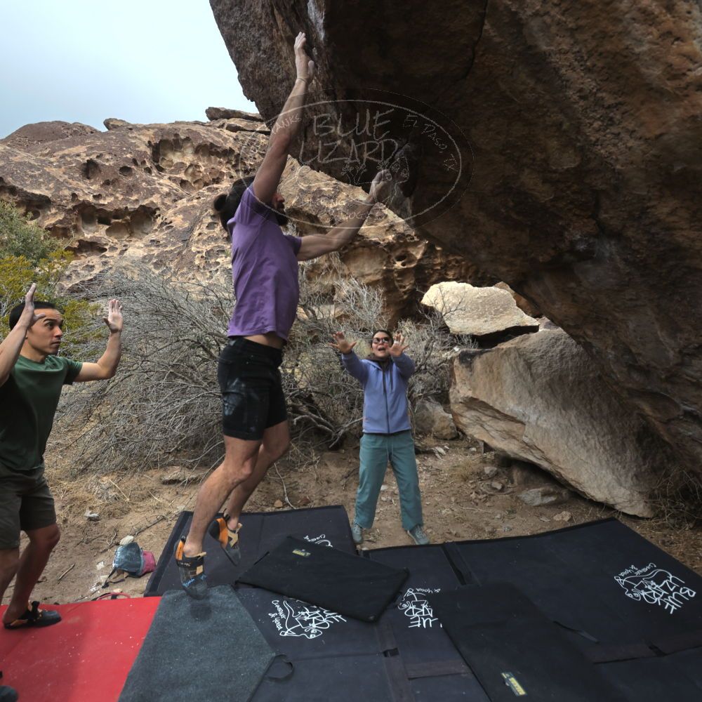 

Filename: SRM_20260207_1154364.jpg
Aperture: f/5.6
Shutter Speed: 1/800
Body: Canon EOS R6
Lens: Canon EF 16-35mm f/2.8 L