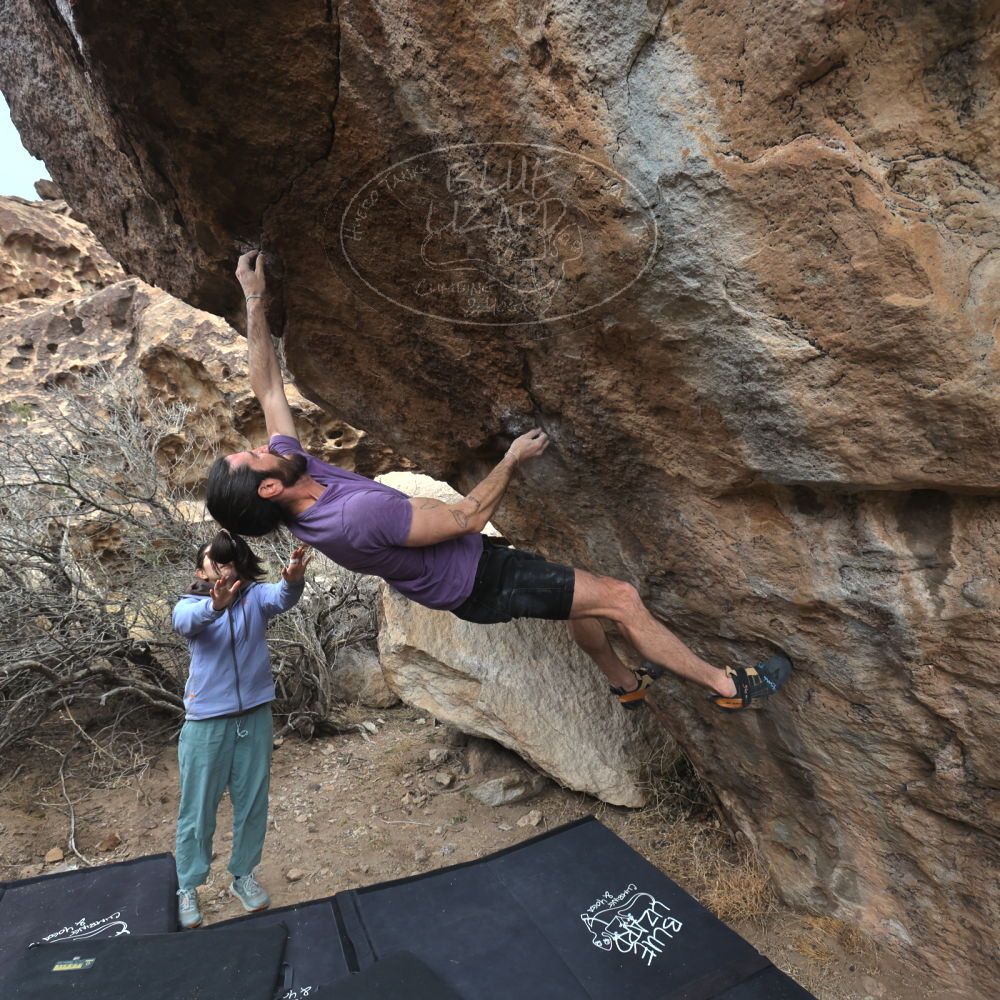 

Filename: SRM_20260207_1204430.jpg
Aperture: f/5.6
Shutter Speed: 1/800
Body: Canon EOS R6
Lens: Canon EF 16-35mm f/2.8 L