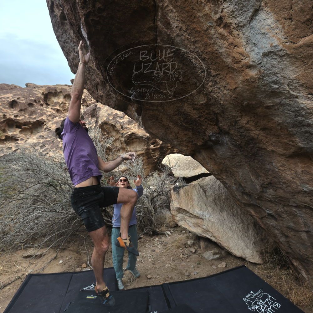 

Filename: SRM_20260207_1204492.jpg
Aperture: f/5.6
Shutter Speed: 1/800
Body: Canon EOS R6
Lens: Canon EF 16-35mm f/2.8 L