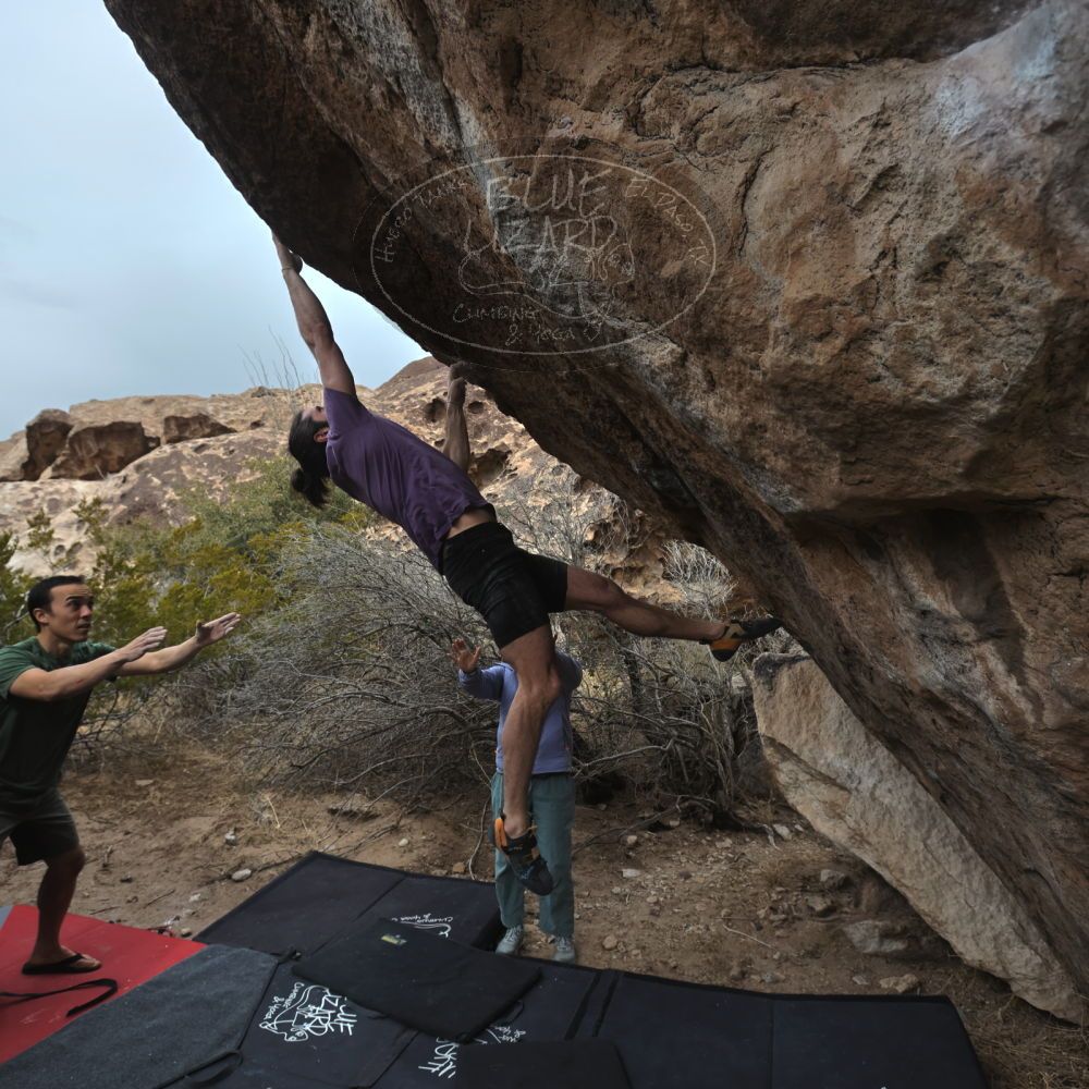 

Filename: SRM_20260207_1209580.jpg
Aperture: f/5.6
Shutter Speed: 1/800
Body: Canon EOS R6
Lens: Canon EF 16-35mm f/2.8 L