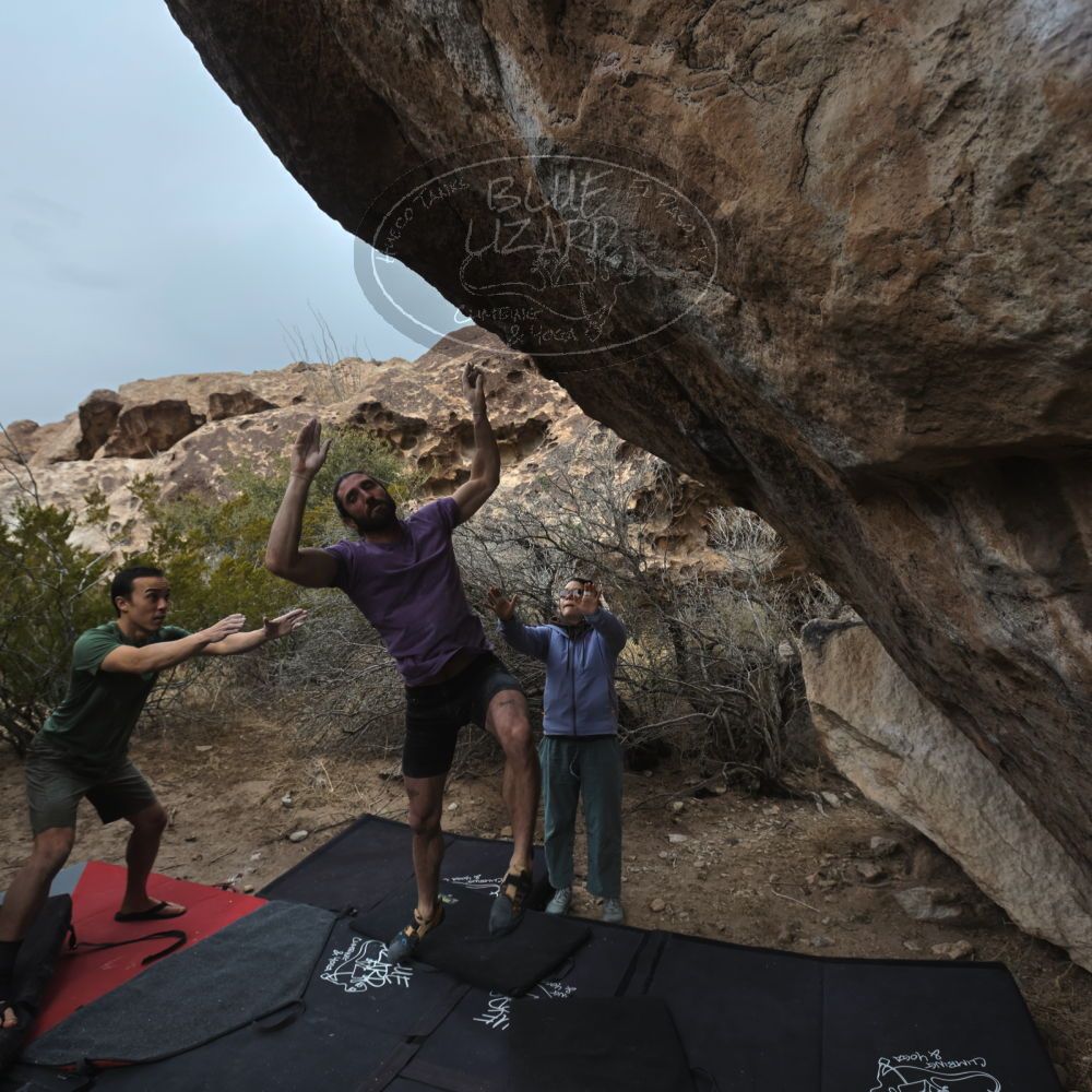 

Filename: SRM_20260207_1209582.jpg
Aperture: f/5.6
Shutter Speed: 1/800
Body: Canon EOS R6
Lens: Canon EF 16-35mm f/2.8 L