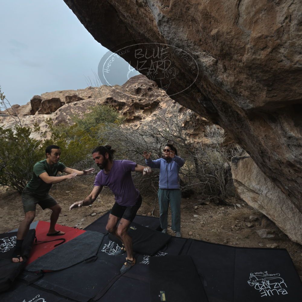 

Filename: SRM_20260207_1209590.jpg
Aperture: f/5.6
Shutter Speed: 1/800
Body: Canon EOS R6
Lens: Canon EF 16-35mm f/2.8 L