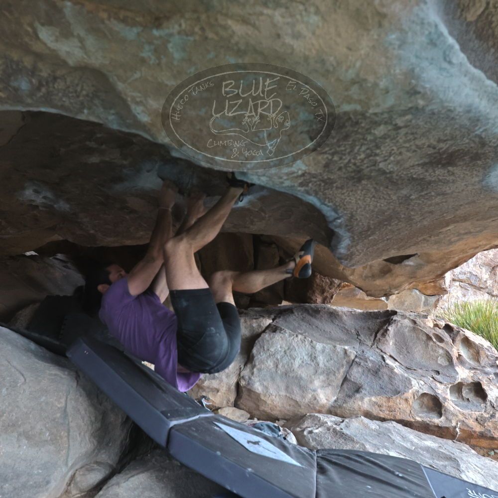 

Filename: SRM_20260207_1238380.jpg
Aperture: f/5.6
Shutter Speed: 1/800
Body: Canon EOS R6
Lens: Canon EF 16-35mm f/2.8 L