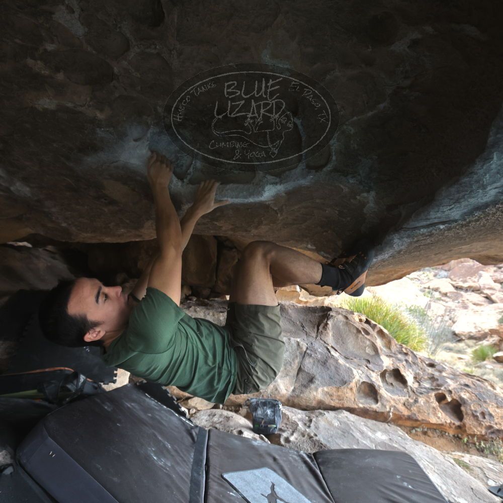 

Filename: SRM_20260207_1240430.jpg
Aperture: f/5.6
Shutter Speed: 1/400
Body: Canon EOS R6
Lens: Canon EF 16-35mm f/2.8 L