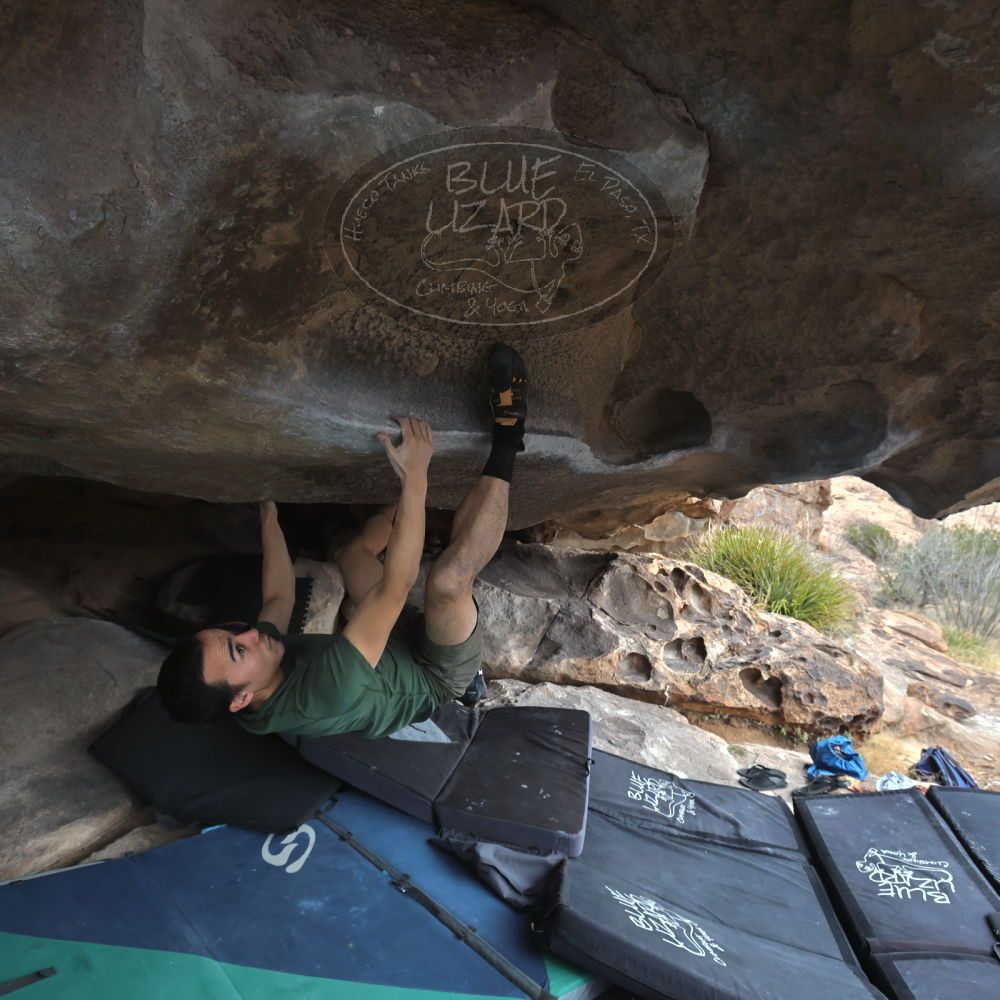 

Filename: SRM_20260207_1241100.jpg
Aperture: f/5.6
Shutter Speed: 1/400
Body: Canon EOS R6
Lens: Canon EF 16-35mm f/2.8 L