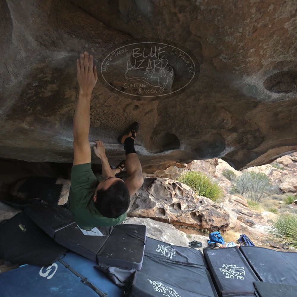 

Filename: SRM_20260207_1241200.jpg
Aperture: f/5.6
Shutter Speed: 1/400
Body: Canon EOS R6
Lens: Canon EF 16-35mm f/2.8 L