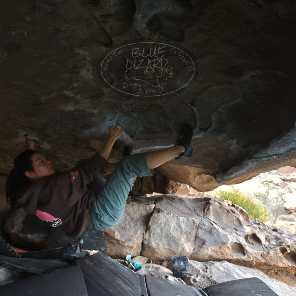 

Filename: SRM_20260207_1249140.jpg
Aperture: f/5.6
Shutter Speed: 1/400
Body: Canon EOS R6
Lens: Canon EF 16-35mm f/2.8 L