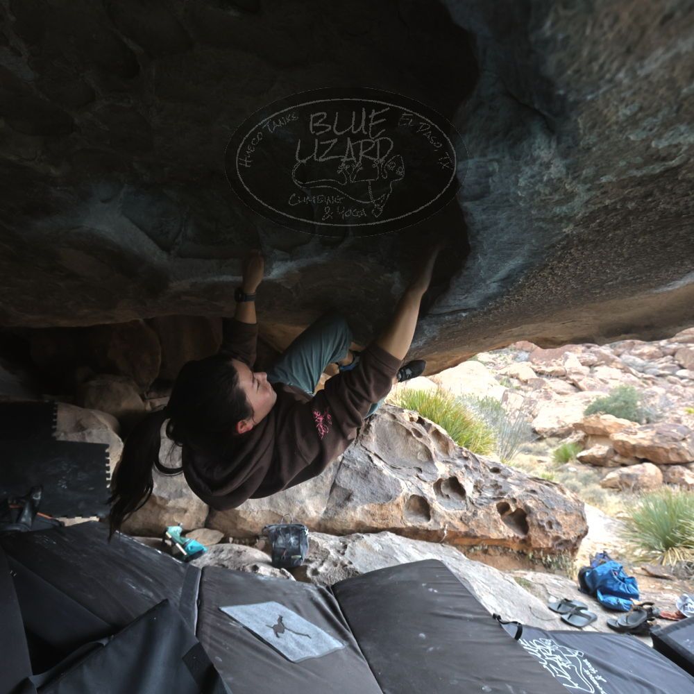 

Filename: SRM_20260207_1249250.jpg
Aperture: f/5.6
Shutter Speed: 1/400
Body: Canon EOS R6
Lens: Canon EF 16-35mm f/2.8 L