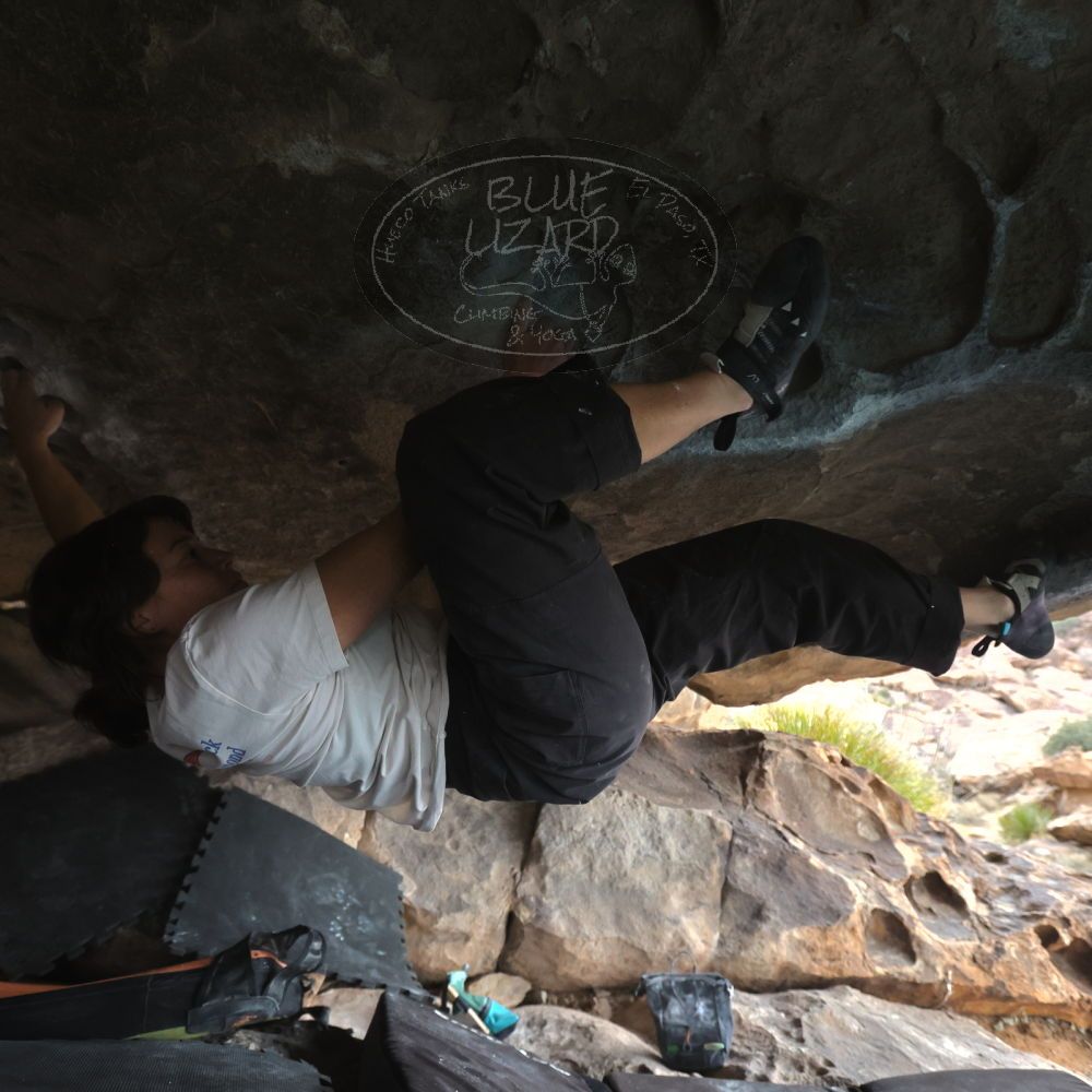 

Filename: SRM_20260207_1252350.jpg
Aperture: f/4.5
Shutter Speed: 1/400
Body: Canon EOS R6
Lens: Canon EF 16-35mm f/2.8 L