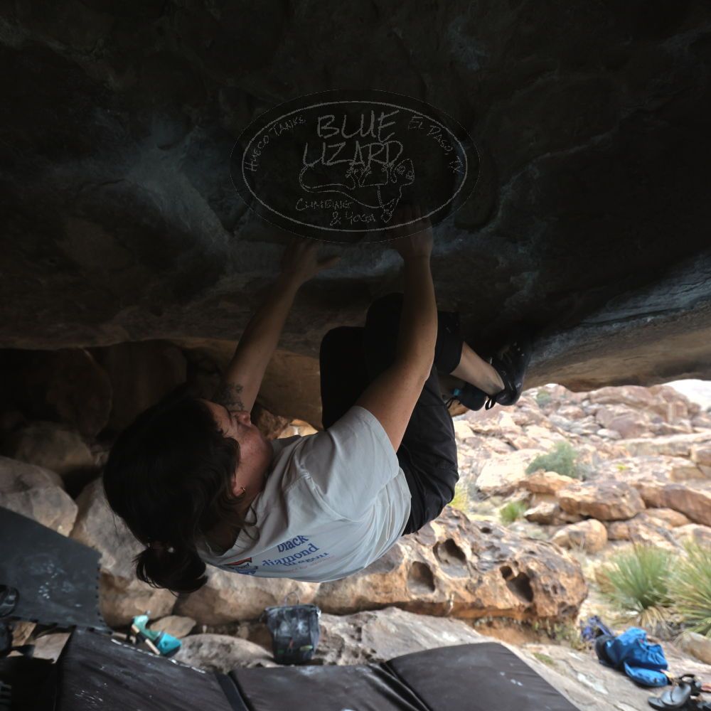 

Filename: SRM_20260207_1252380.jpg
Aperture: f/4.5
Shutter Speed: 1/400
Body: Canon EOS R6
Lens: Canon EF 16-35mm f/2.8 L