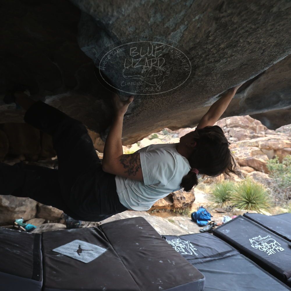 

Filename: SRM_20260207_1252510.jpg
Aperture: f/4.5
Shutter Speed: 1/400
Body: Canon EOS R6
Lens: Canon EF 16-35mm f/2.8 L