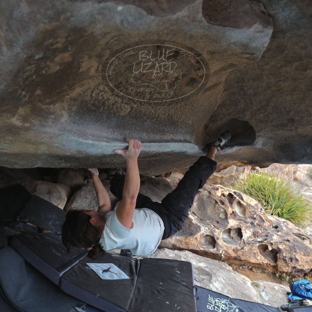 

Filename: SRM_20260207_1252570.jpg
Aperture: f/4.5
Shutter Speed: 1/400
Body: Canon EOS R6
Lens: Canon EF 16-35mm f/2.8 L