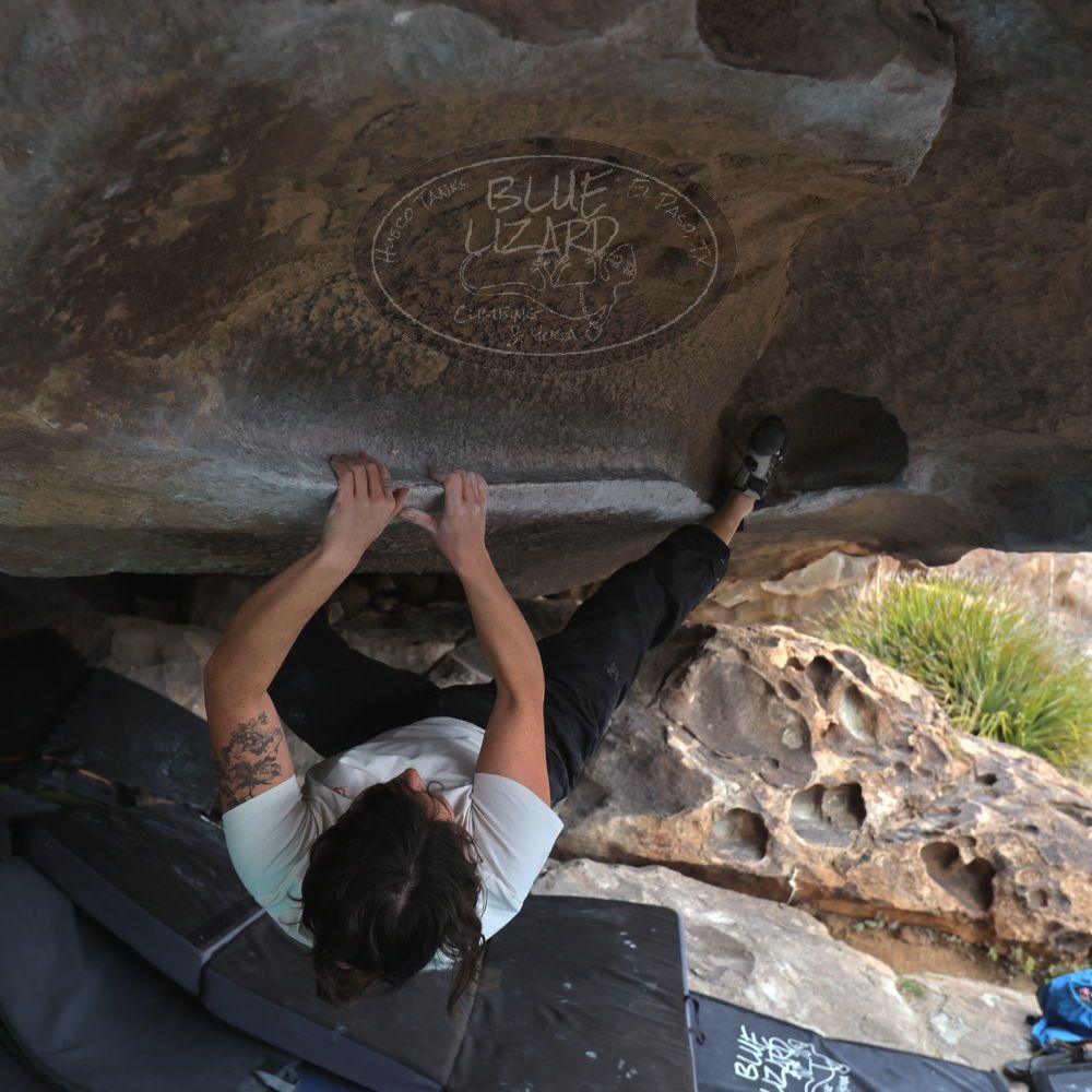 

Filename: SRM_20260207_1252590.jpg
Aperture: f/4.5
Shutter Speed: 1/400
Body: Canon EOS R6
Lens: Canon EF 16-35mm f/2.8 L