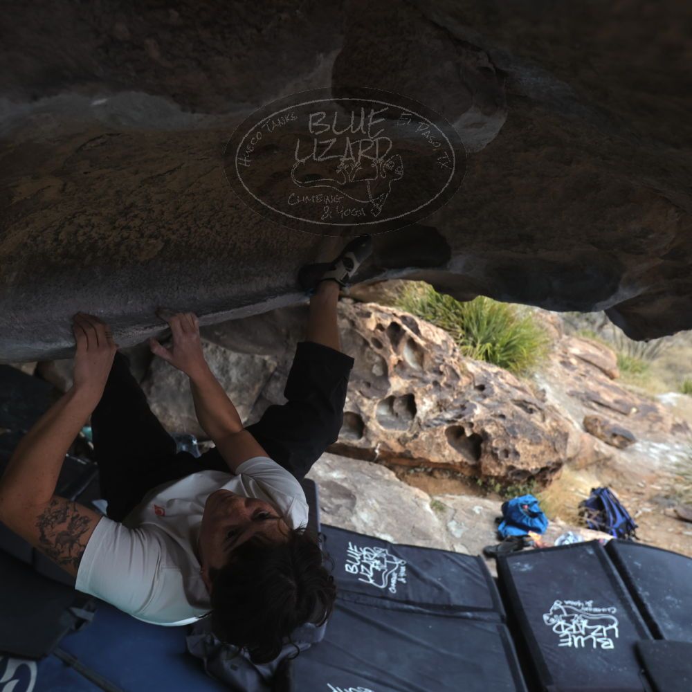 

Filename: SRM_20260207_1253040.jpg
Aperture: f/4.5
Shutter Speed: 1/400
Body: Canon EOS R6
Lens: Canon EF 16-35mm f/2.8 L