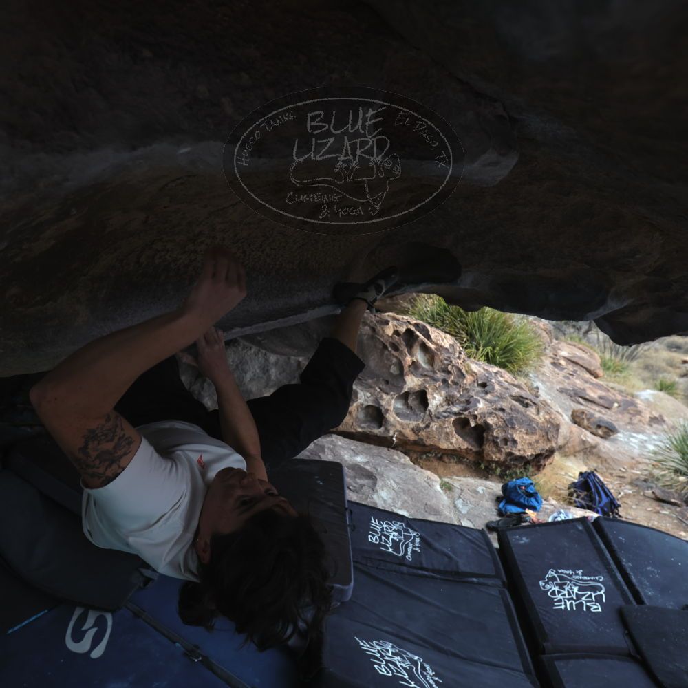 

Filename: SRM_20260207_1253060.jpg
Aperture: f/4.5
Shutter Speed: 1/400
Body: Canon EOS R6
Lens: Canon EF 16-35mm f/2.8 L