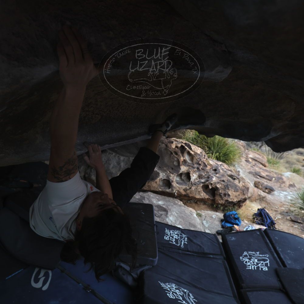 

Filename: SRM_20260207_1253061.jpg
Aperture: f/4.5
Shutter Speed: 1/400
Body: Canon EOS R6
Lens: Canon EF 16-35mm f/2.8 L