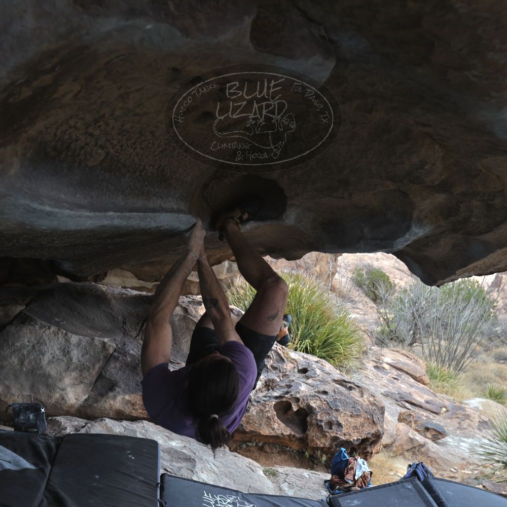 

Filename: SRM_20260207_1302550.jpg
Aperture: f/4.5
Shutter Speed: 1/400
Body: Canon EOS R6
Lens: Canon EF 16-35mm f/2.8 L