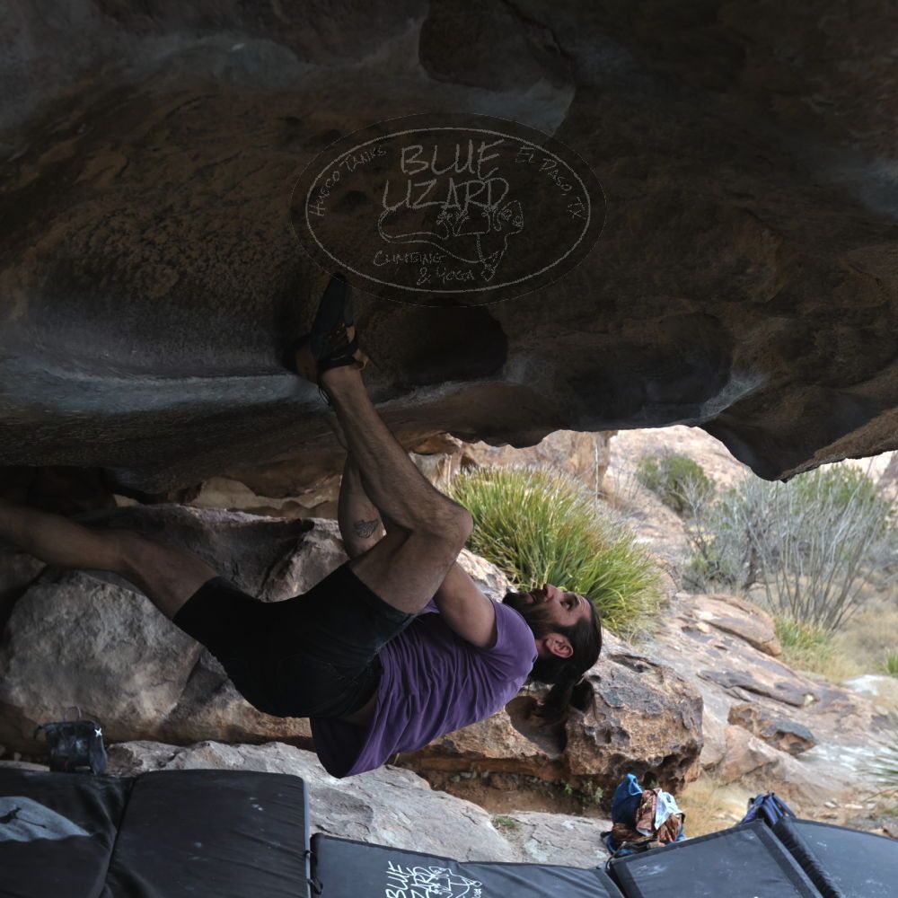 

Filename: SRM_20260207_1302590.jpg
Aperture: f/4.5
Shutter Speed: 1/400
Body: Canon EOS R6
Lens: Canon EF 16-35mm f/2.8 L