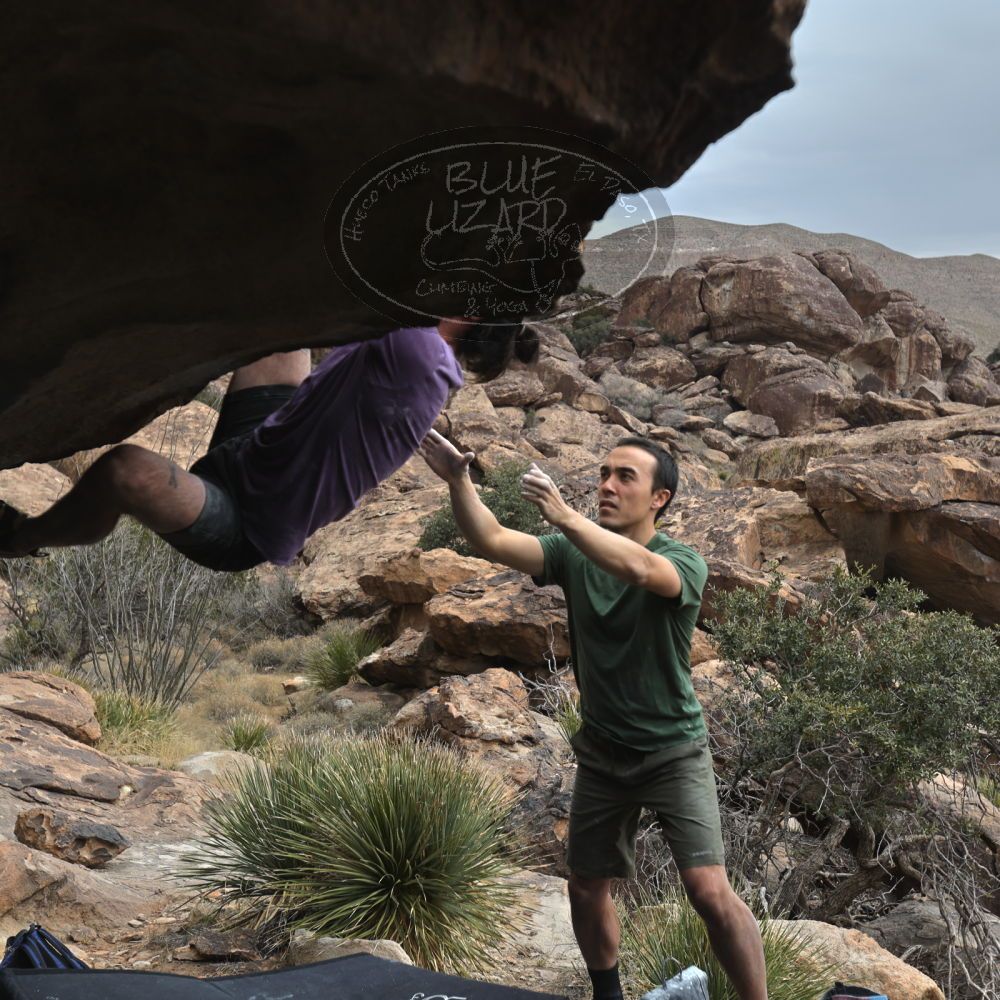 

Filename: SRM_20260207_1309370.jpg
Aperture: f/4.5
Shutter Speed: 1/400
Body: Canon EOS R6
Lens: Canon EF 16-35mm f/2.8 L