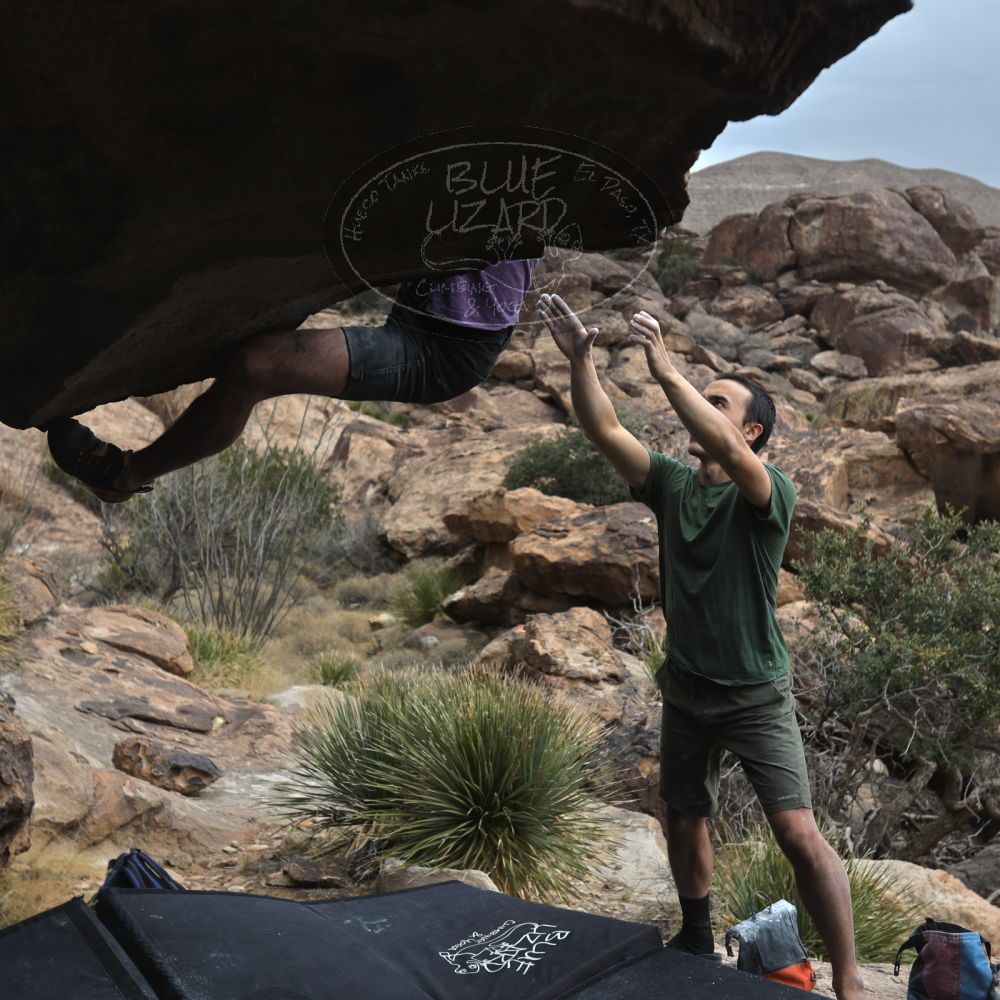 

Filename: SRM_20260207_1309390.jpg
Aperture: f/4.5
Shutter Speed: 1/400
Body: Canon EOS R6
Lens: Canon EF 16-35mm f/2.8 L