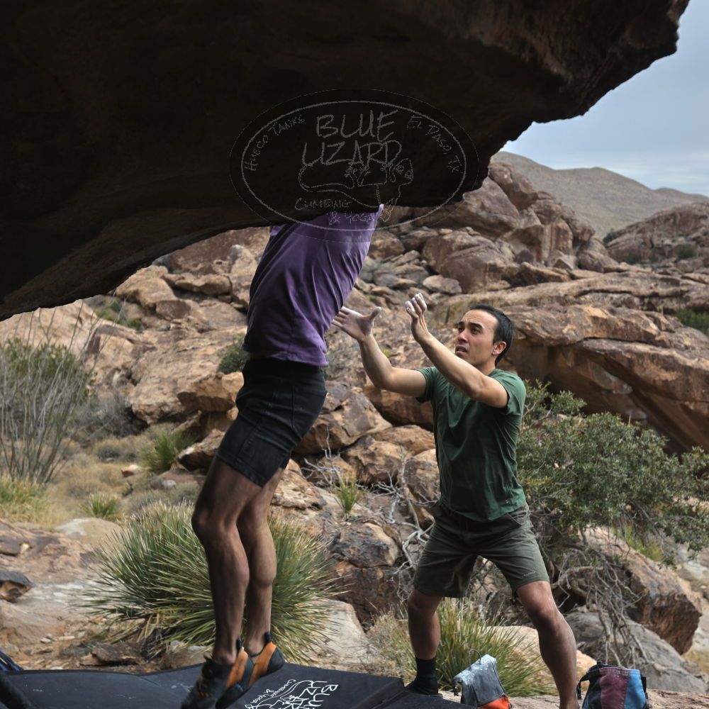 

Filename: SRM_20260207_1309430.jpg
Aperture: f/4.5
Shutter Speed: 1/400
Body: Canon EOS R6
Lens: Canon EF 16-35mm f/2.8 L