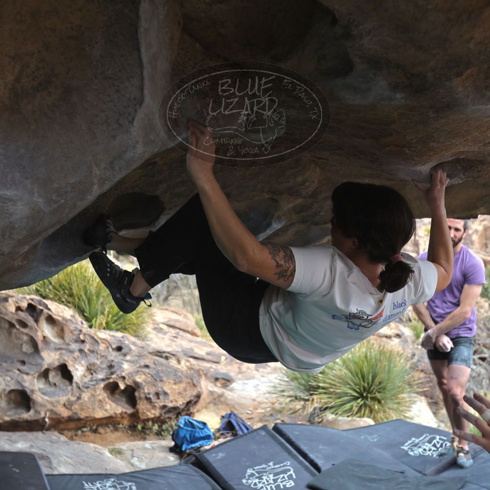 

Filename: SRM_20260207_1313050.jpg
Aperture: f/4.5
Shutter Speed: 1/400
Body: Canon EOS R6
Lens: Canon EF 16-35mm f/2.8 L