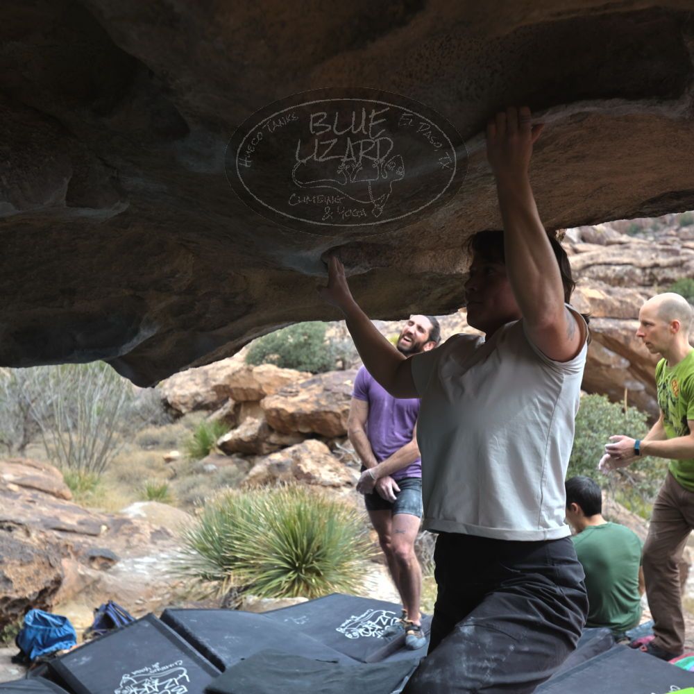 

Filename: SRM_20260207_1313100.jpg
Aperture: f/4.5
Shutter Speed: 1/400
Body: Canon EOS R6
Lens: Canon EF 16-35mm f/2.8 L