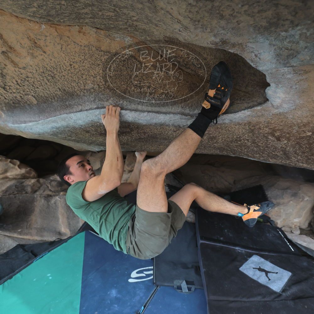 

Filename: SRM_20260207_1315290.jpg
Aperture: f/4.5
Shutter Speed: 1/400
Body: Canon EOS R6
Lens: Canon EF 16-35mm f/2.8 L