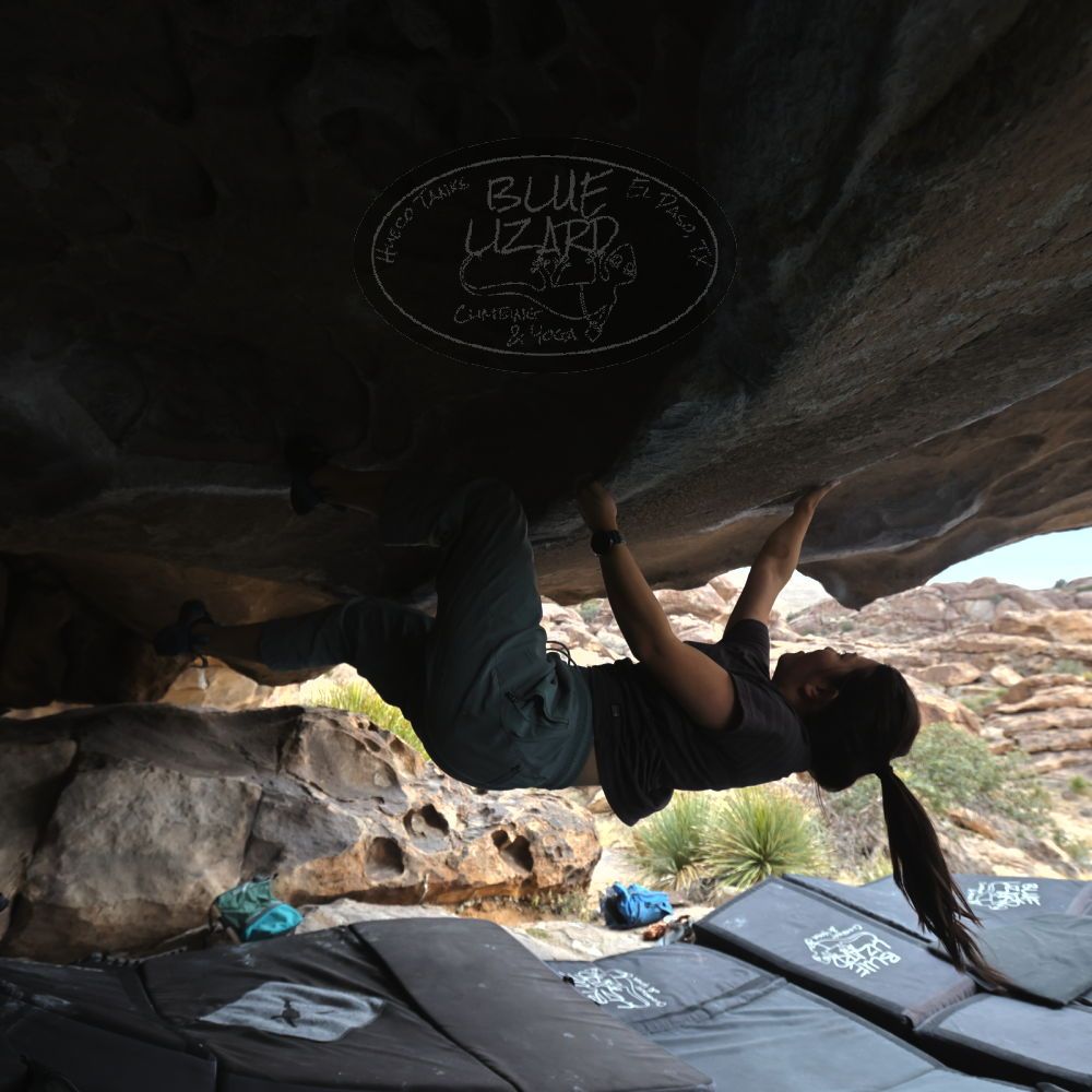 

Filename: SRM_20260207_1322320.jpg
Aperture: f/5.0
Shutter Speed: 1/400
Body: Canon EOS R6
Lens: Canon EF 16-35mm f/2.8 L