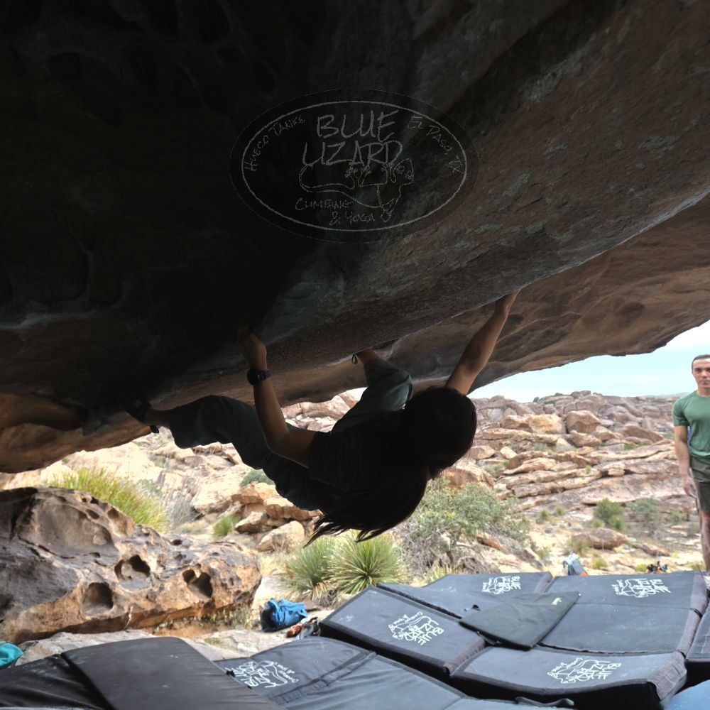 

Filename: SRM_20260207_1322400.jpg
Aperture: f/5.0
Shutter Speed: 1/400
Body: Canon EOS R6
Lens: Canon EF 16-35mm f/2.8 L