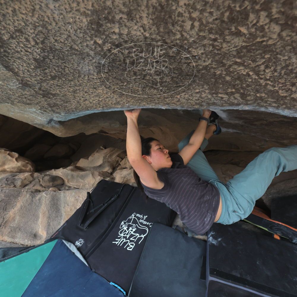 

Filename: SRM_20260207_1335550.jpg
Aperture: f/5.0
Shutter Speed: 1/400
Body: Canon EOS R6
Lens: Canon EF 16-35mm f/2.8 L