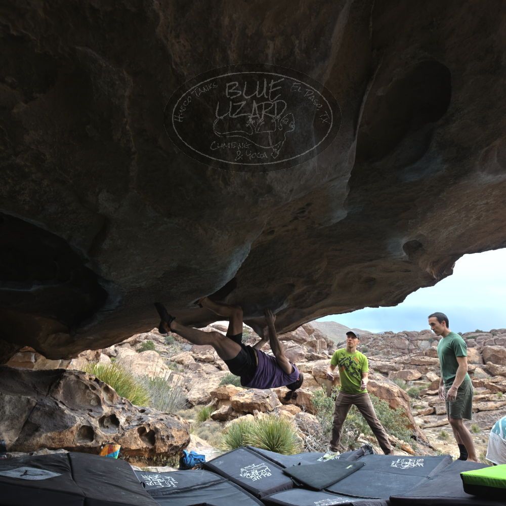 

Filename: SRM_20260207_1339070.jpg
Aperture: f/5.0
Shutter Speed: 1/400
Body: Canon EOS R6
Lens: Canon EF 16-35mm f/2.8 L