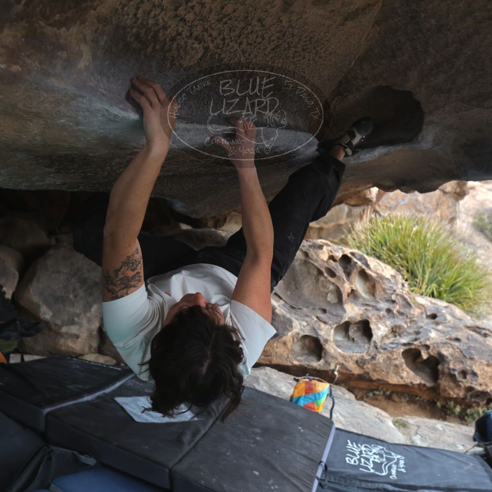 

Filename: SRM_20260207_1344530.jpg
Aperture: f/5.0
Shutter Speed: 1/400
Body: Canon EOS R6
Lens: Canon EF 16-35mm f/2.8 L