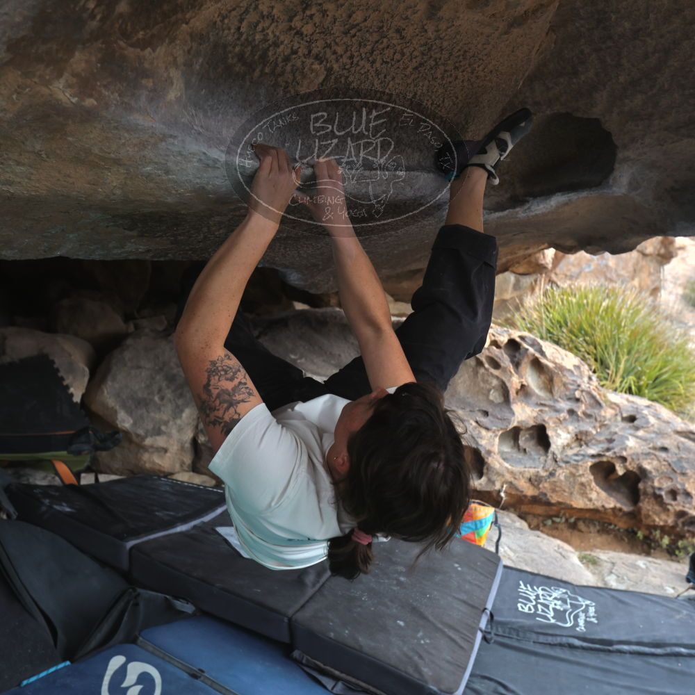 

Filename: SRM_20260207_1344560.jpg
Aperture: f/5.0
Shutter Speed: 1/400
Body: Canon EOS R6
Lens: Canon EF 16-35mm f/2.8 L