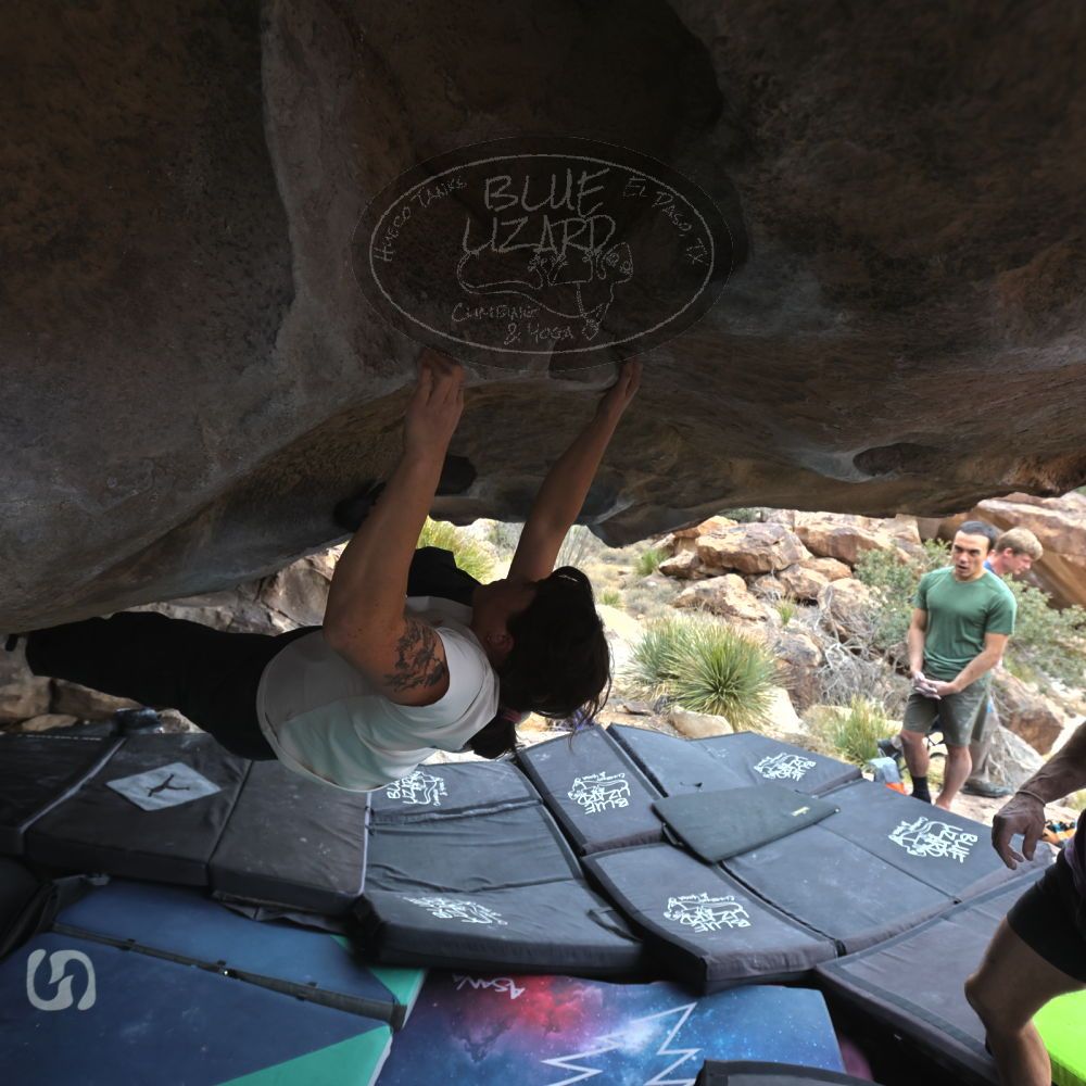 

Filename: SRM_20260207_1345010.jpg
Aperture: f/5.0
Shutter Speed: 1/400
Body: Canon EOS R6
Lens: Canon EF 16-35mm f/2.8 L