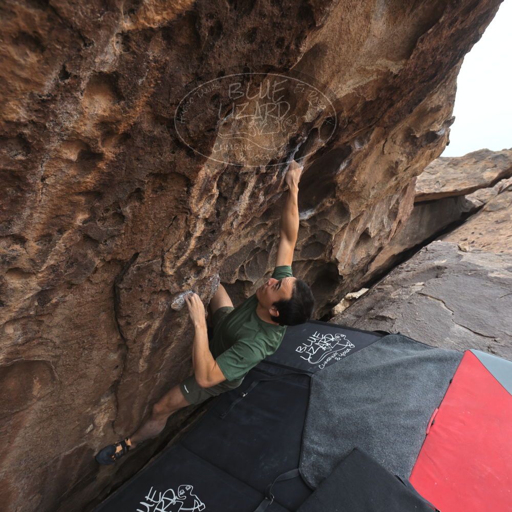 

Filename: SRM_20260207_1516080.jpg
Aperture: f/5.0
Shutter Speed: 1/400
Body: Canon EOS R6
Lens: Canon EF 16-35mm f/2.8 L