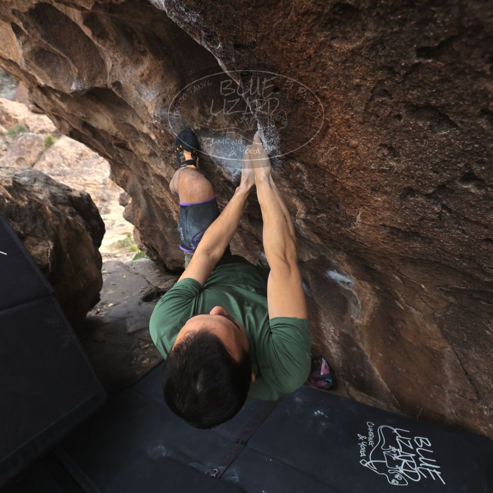 

Filename: SRM_20260207_1525360.jpg
Aperture: f/5.0
Shutter Speed: 1/400
Body: Canon EOS R6
Lens: Canon EF 16-35mm f/2.8 L