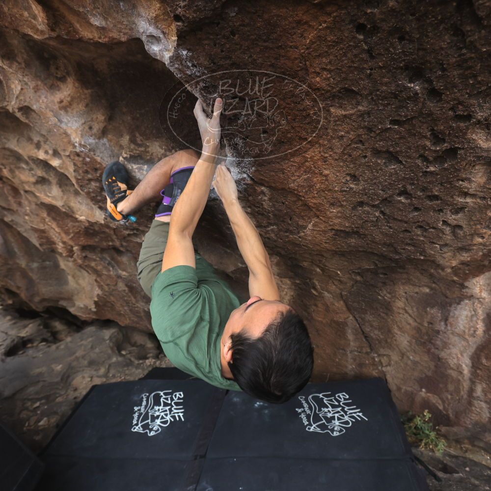 

Filename: SRM_20260207_1525370.jpg
Aperture: f/5.0
Shutter Speed: 1/400
Body: Canon EOS R6
Lens: Canon EF 16-35mm f/2.8 L