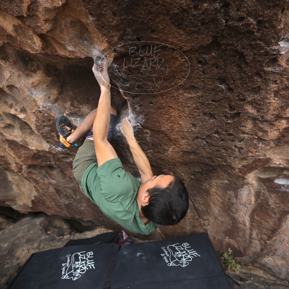 

Filename: SRM_20260207_1525380.jpg
Aperture: f/5.0
Shutter Speed: 1/400
Body: Canon EOS R6
Lens: Canon EF 16-35mm f/2.8 L