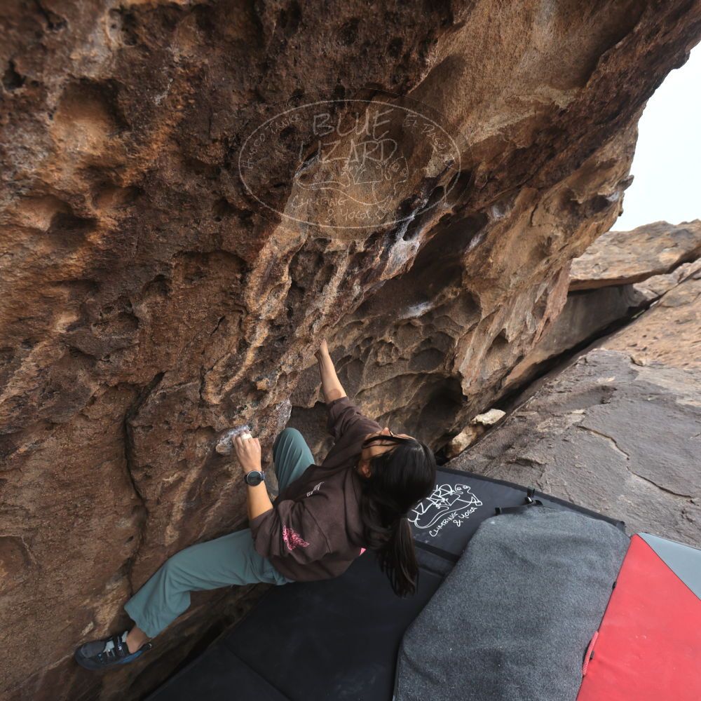 

Filename: SRM_20260207_1527080.jpg
Aperture: f/5.0
Shutter Speed: 1/400
Body: Canon EOS R6
Lens: Canon EF 16-35mm f/2.8 L