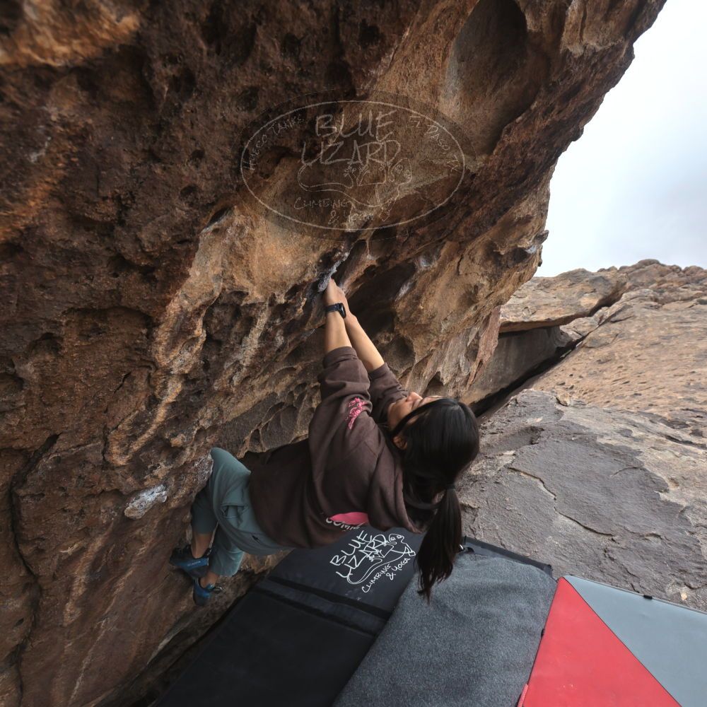 

Filename: SRM_20260207_1527110.jpg
Aperture: f/5.0
Shutter Speed: 1/400
Body: Canon EOS R6
Lens: Canon EF 16-35mm f/2.8 L