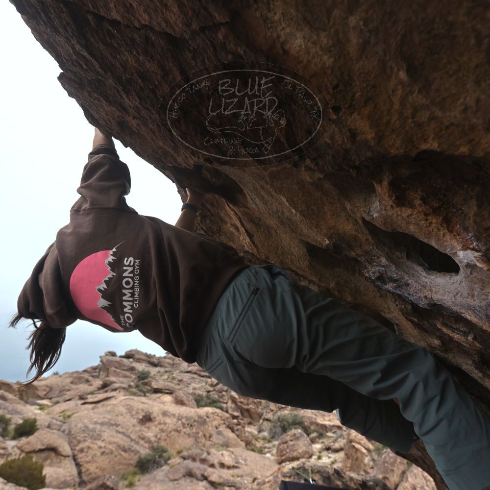 

Filename: SRM_20260207_1527280.jpg
Aperture: f/5.0
Shutter Speed: 1/400
Body: Canon EOS R6
Lens: Canon EF 16-35mm f/2.8 L