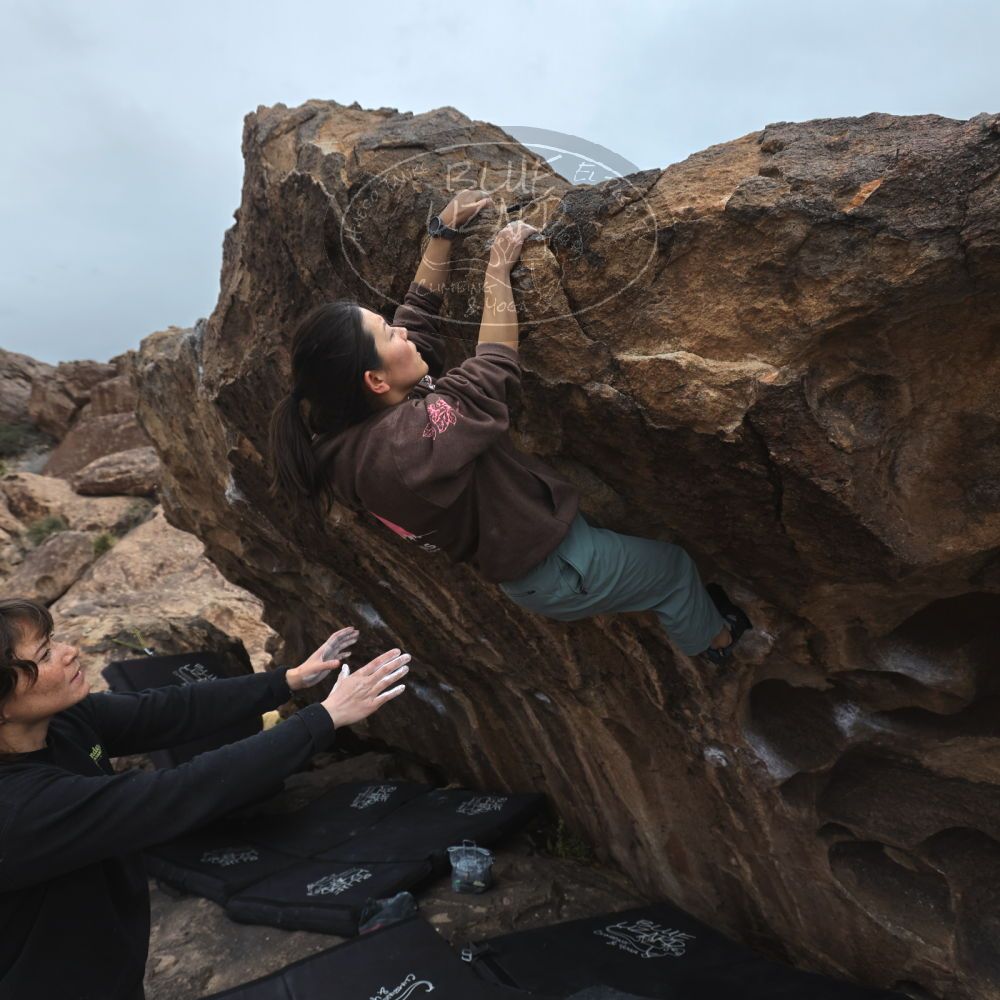 

Filename: SRM_20260207_1527340.jpg
Aperture: f/5.0
Shutter Speed: 1/400
Body: Canon EOS R6
Lens: Canon EF 16-35mm f/2.8 L