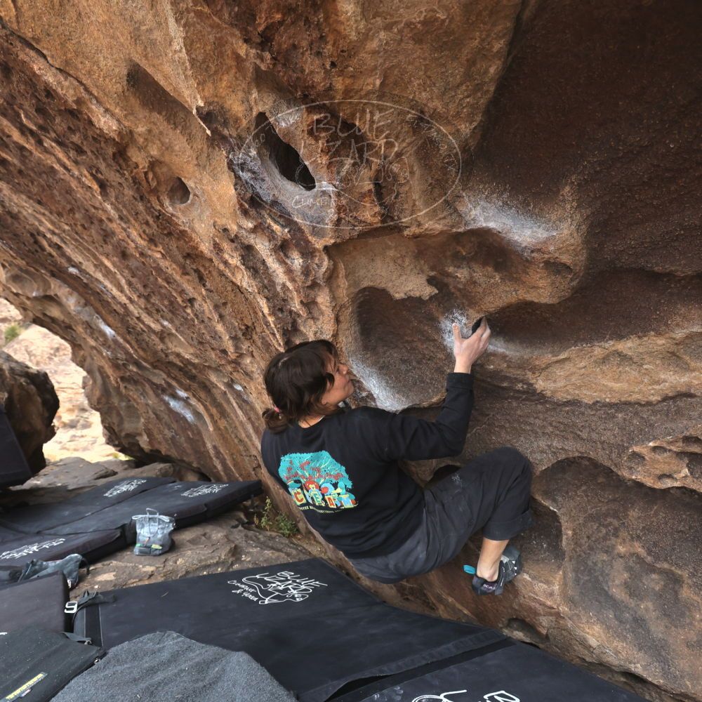 

Filename: SRM_20260207_1528270.jpg
Aperture: f/5.0
Shutter Speed: 1/400
Body: Canon EOS R6
Lens: Canon EF 16-35mm f/2.8 L