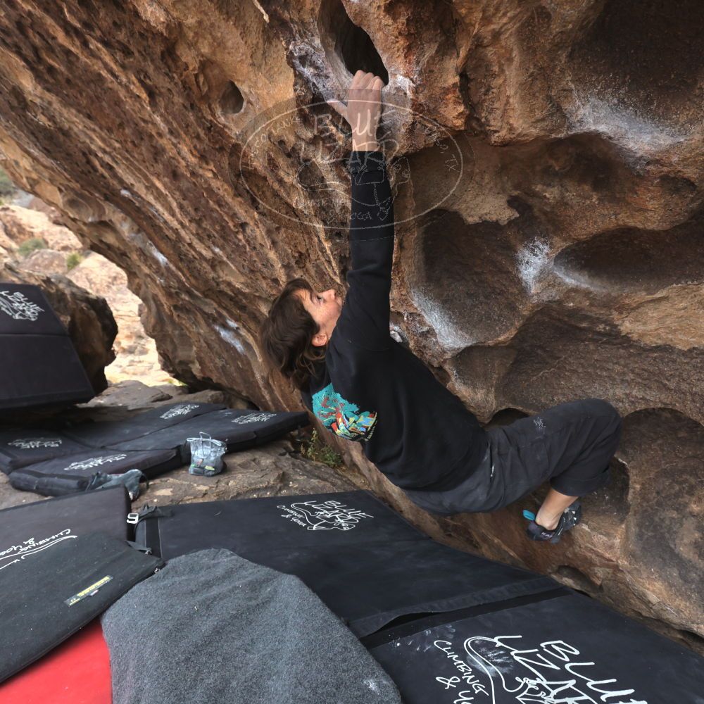 

Filename: SRM_20260207_1528290.jpg
Aperture: f/5.0
Shutter Speed: 1/400
Body: Canon EOS R6
Lens: Canon EF 16-35mm f/2.8 L